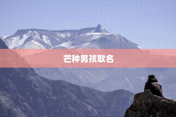 芒种男孩取名