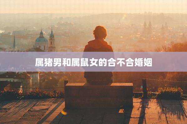 属猪男和属鼠女的合不合婚姻