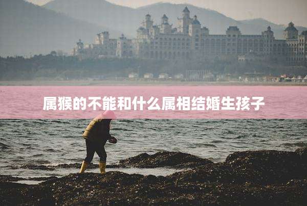 属猴的不能和什么属相结婚生孩子