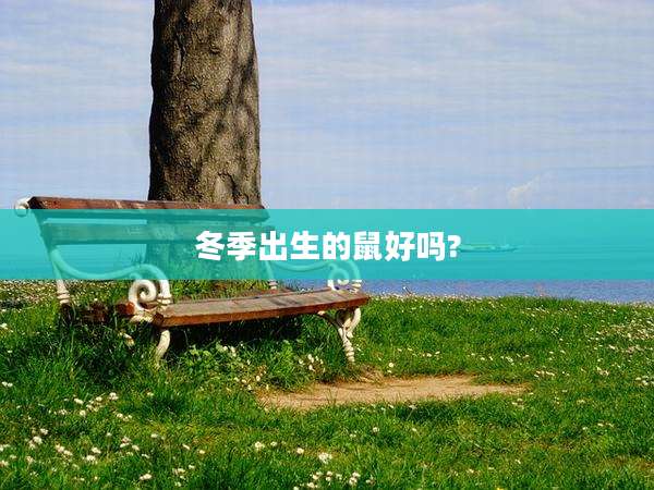 冬季出生的鼠好吗?