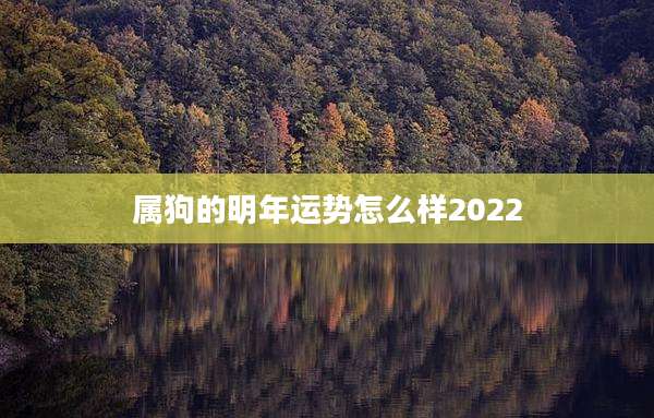属狗的明年运势怎么样2022