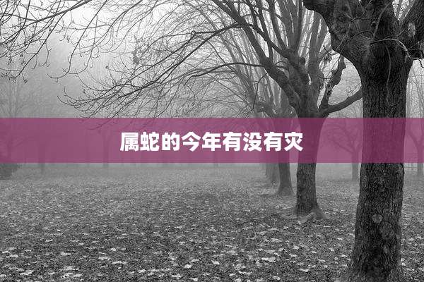 属蛇的今年有没有灾