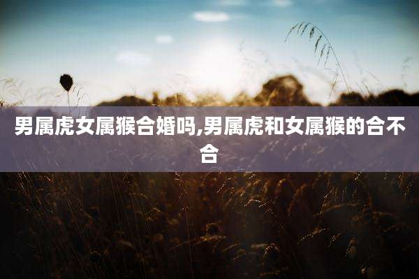 男属虎女属猴合婚吗,男属虎和女属猴的合不合