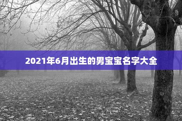 2021年6月出生的男宝宝名字大全