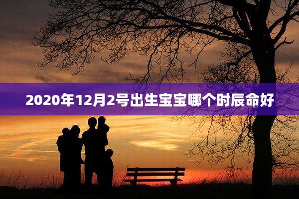 2020年12月2号出生宝宝哪个时辰命好