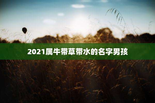 2021属牛带草带水的名字男孩