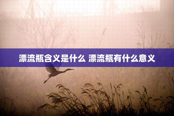 漂流瓶含义是什么 漂流瓶有什么意义