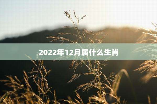 2022年12月属什么生肖