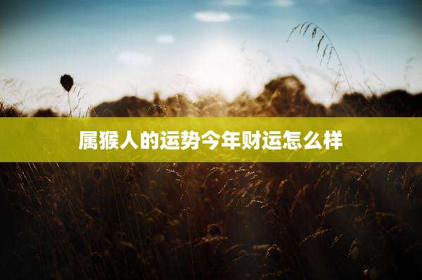 属猴人的运势今年财运怎么样