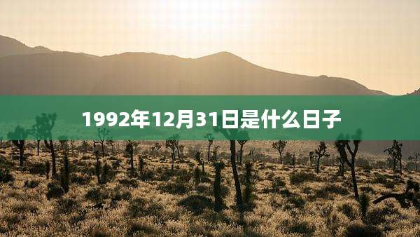 1992年12月31日是什么日子