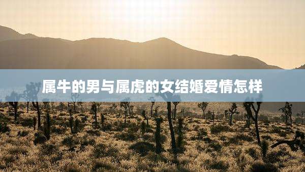 属牛的男与属虎的女结婚爱情怎样