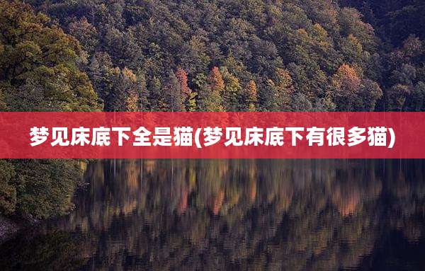 梦见床底下全是猫(梦见床底下有很多猫)