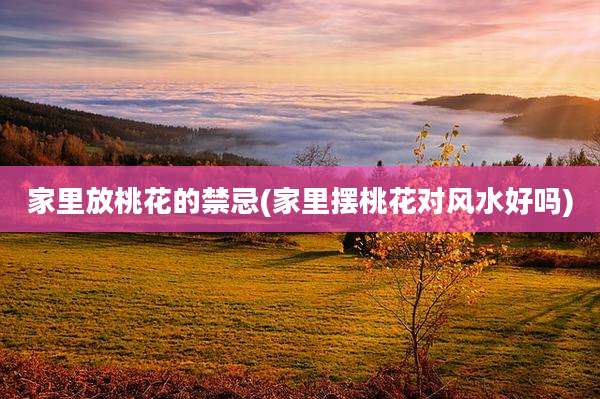 家里放桃花的禁忌(家里摆桃花对风水好吗)