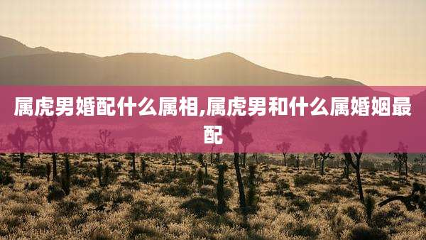 属虎男婚配什么属相,属虎男和什么属婚姻最配