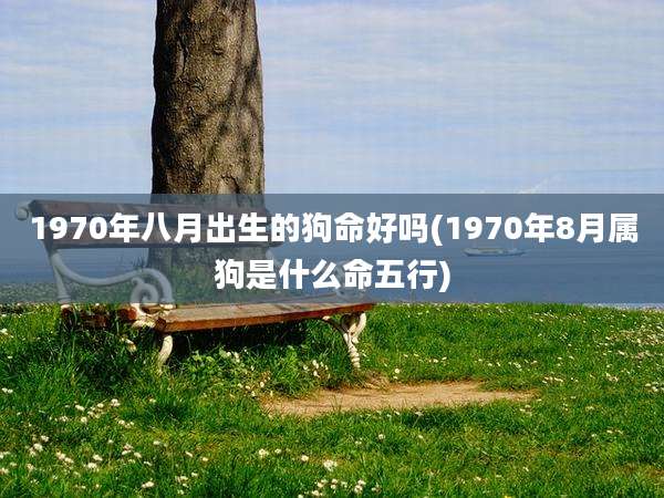 1970年八月出生的狗命好吗(1970年8月属狗是什么命五行)