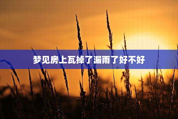 梦见房上瓦掉了漏雨了好不好