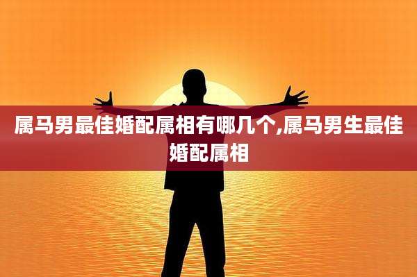 属马男最佳婚配属相有哪几个,属马男生最佳婚配属相