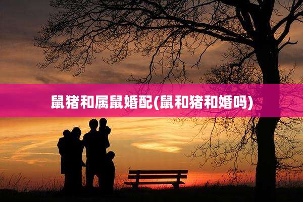 鼠猪和属鼠婚配(鼠和猪和婚吗)