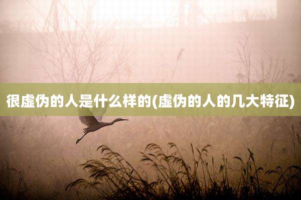 很虚伪的人是什么样的(虚伪的人的几大特征)