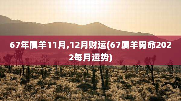 67年属羊11月,12月财运(67属羊男命2022每月运势)
