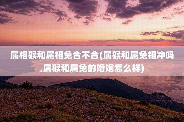 属相猴和属相兔合不合(属猴和属兔相冲吗,属猴和属兔的婚姻怎么样)