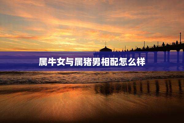 属牛女与属猪男相配怎么样