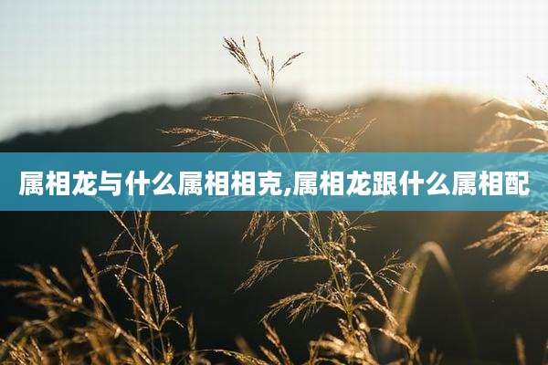 属相龙与什么属相相克,属相龙跟什么属相配