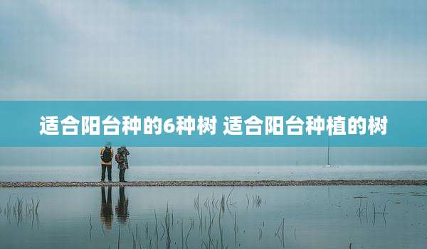 适合阳台种的6种树 适合阳台种植的树