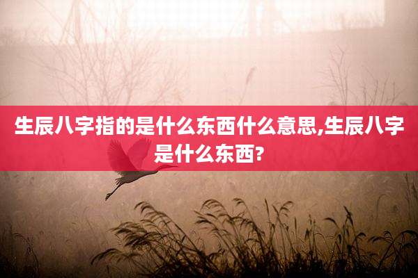 生辰八字指的是什么东西什么意思,生辰八字是什么东西?