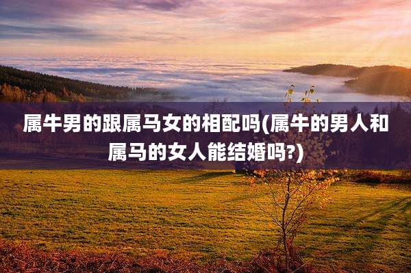 属牛男的跟属马女的相配吗(属牛的男人和属马的女人能结婚吗?)