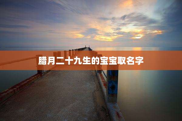 腊月二十九生的宝宝取名字