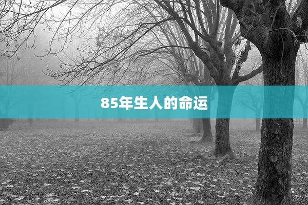 85年生人的命运