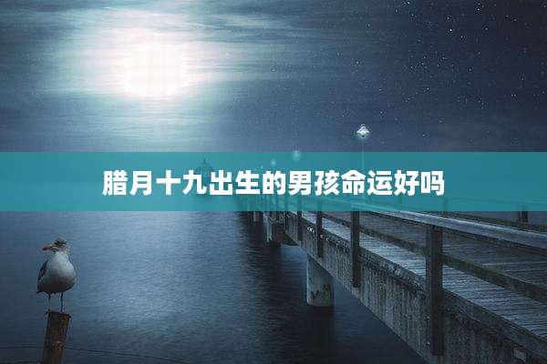 腊月十九出生的男孩命运好吗