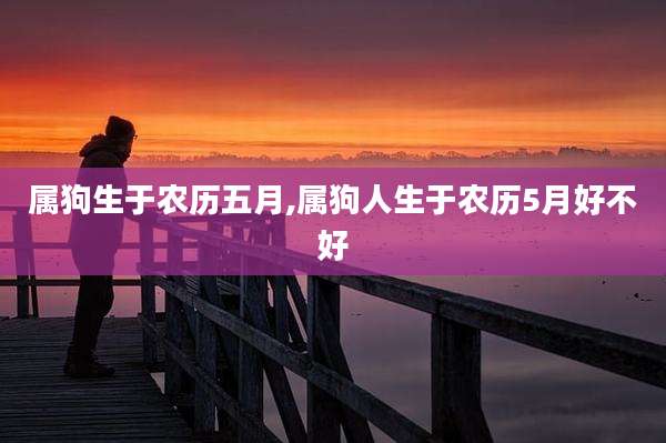 属狗生于农历五月,属狗人生于农历5月好不好