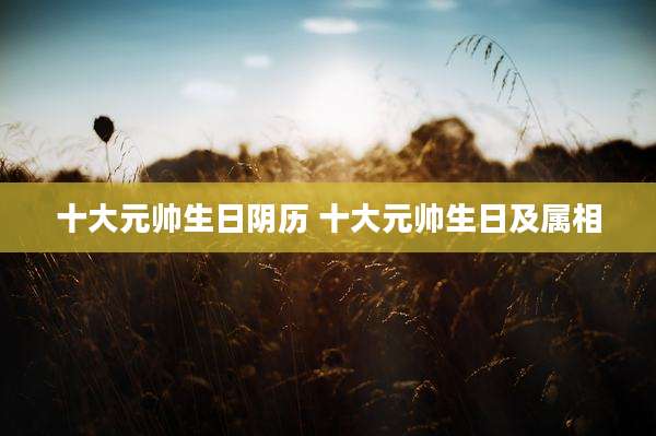 十大元帅生日阴历 十大元帅生日及属相