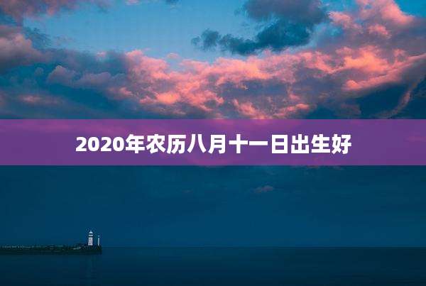 2020年农历八月十一日出生好