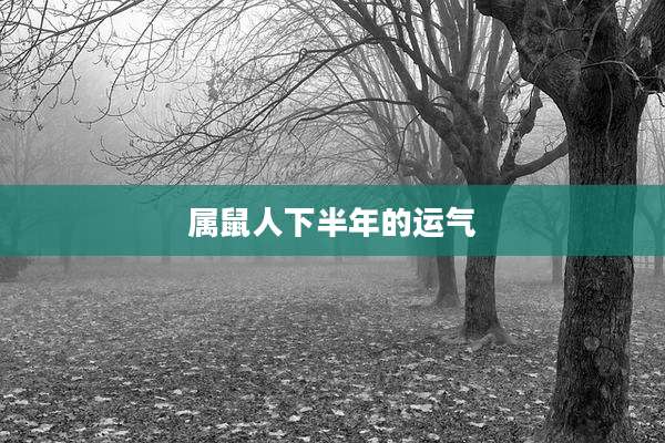 属鼠人下半年的运气