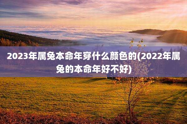 2023年属兔本命年穿什么颜色的(2022年属兔的本命年好不好)