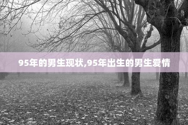 95年的男生现状,95年出生的男生爱情