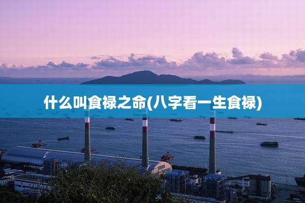 什么叫食禄之命(八字看一生食禄)