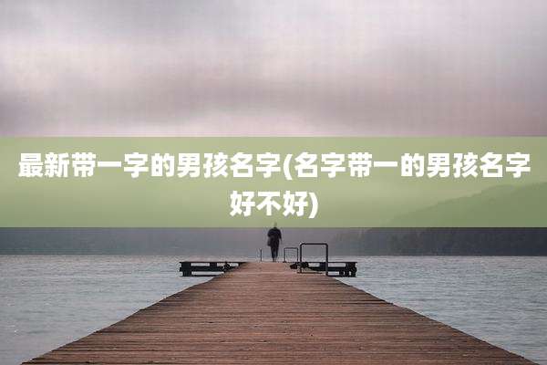 最新带一字的男孩名字(名字带一的男孩名字好不好)