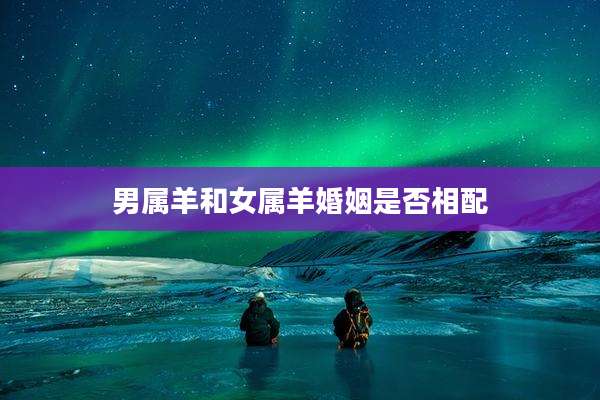 男属羊和女属羊婚姻是否相配