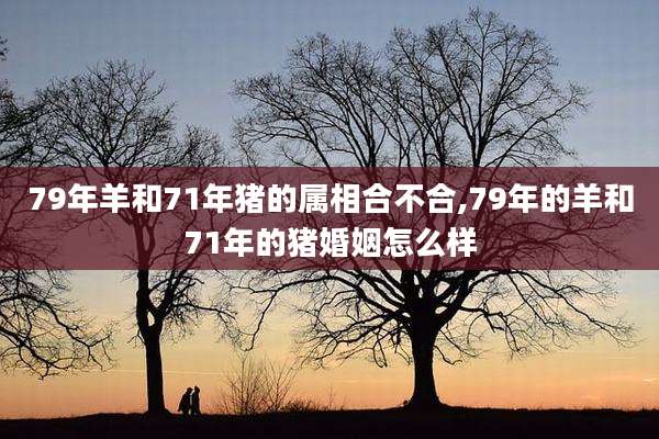 79年羊和71年猪的属相合不合,79年的羊和71年的猪婚姻怎么样