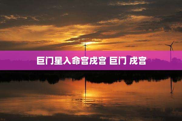 巨门星入命宫戌宫 巨门 戌宫