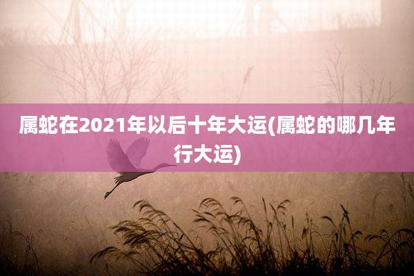 属蛇在2021年以后十年大运(属蛇的哪几年行大运)