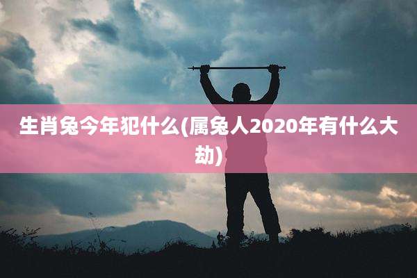 生肖兔今年犯什么(属兔人2020年有什么大劫)