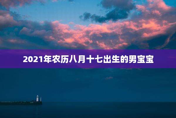 2021年农历八月十七出生的男宝宝