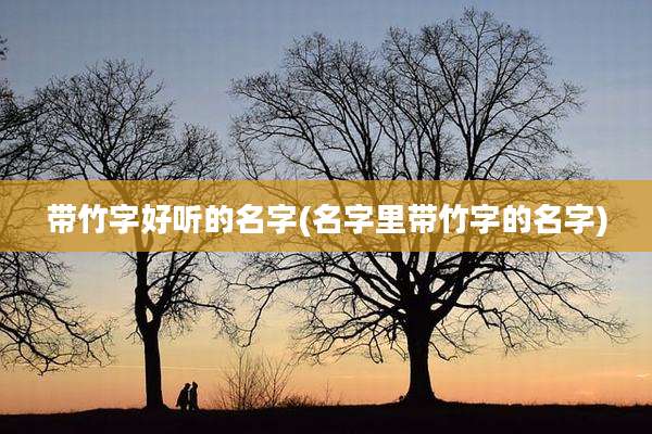 带竹字好听的名字(名字里带竹字的名字)