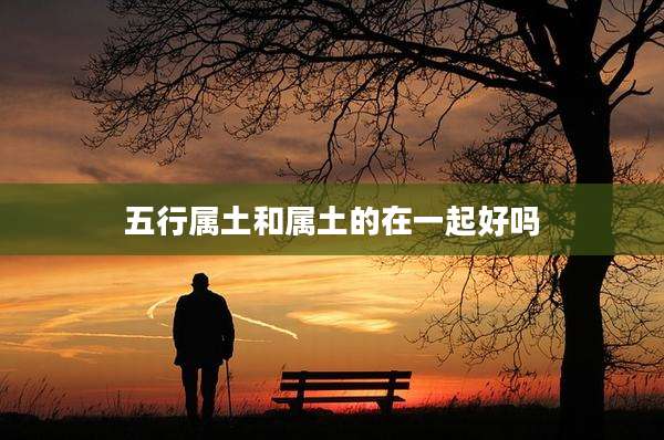 五行属土和属土的在一起好吗