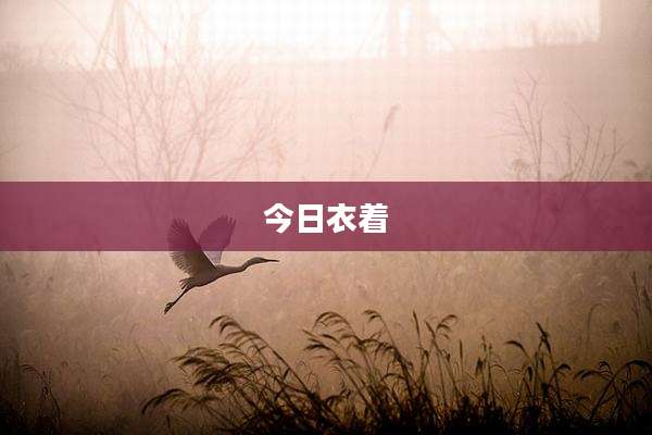 今日衣着